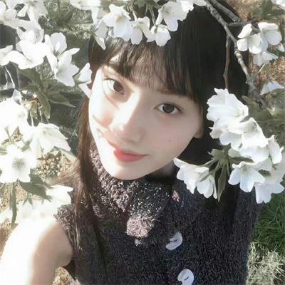 阿瓦隆的迷雾
